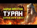 Туран биримдиги деген эмне?