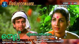 Neela ponmane , Malayalam song , Nellu , Vayalar , Salil Chaudhari , Ramu karyattu