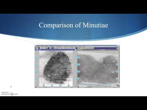 Fingerprint Analysis Part 3: Minutiae
