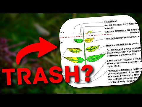 The Hidden Truth About Plant Deficiency Charts No One Tells You thumbnail
