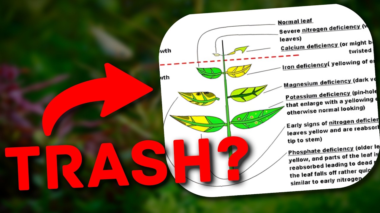 The Hidden Truth About Plant Deficiency Charts No One Tells You
