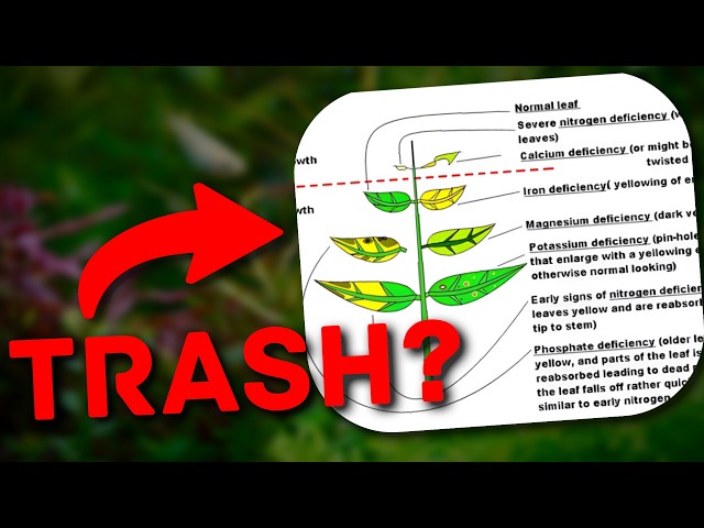 The Hidden Truth About Plant Deficiency Charts No One Tells You