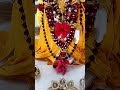 ఓం సాయి#renilkomitla #nellore #nellorecity #saibabablessings #saibaba #shots #ytshorts #vlogs#baba