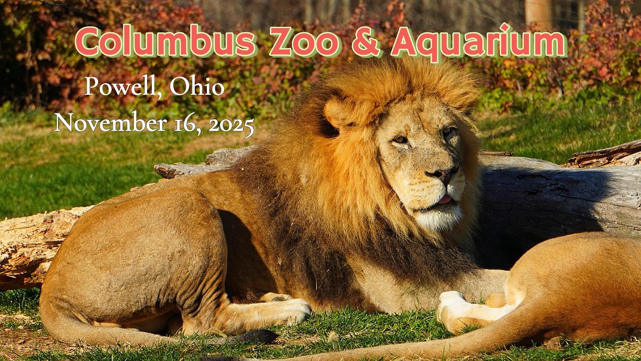 Columbus Zoo & Aquarium Part II