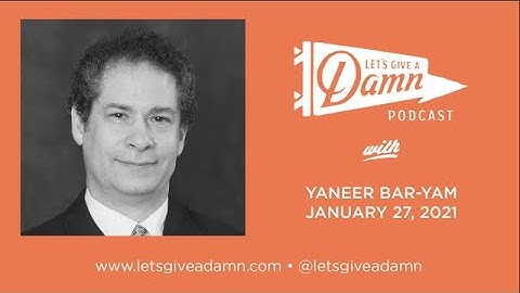 Yaneer Bar-Yam