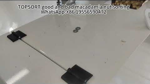 TOPSORT Mini good and bad macadamia nut sorting machine