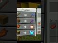 op trade #minecraftsurvivalseries100days