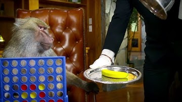 CSP Connect 4 in Pygame