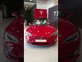 Elon Musk’s Journey from Zero to Billionaire 🚀 | Success Circuit