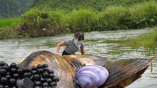 🎁Pearl Treasure: The Girl Explores The Giant Clam And Is Attracted By The Shining Pearl Light