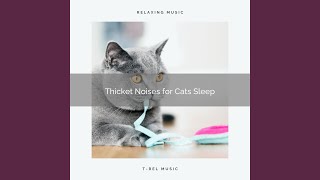 Soft Songs for Kitten Total Relax