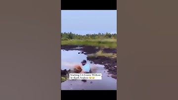 Only Ca Students Can Get This 🤣#shorts #funnyvideo #memes #camemes #funnyshort #viralshorts