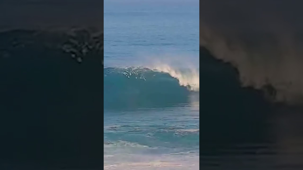 Clips