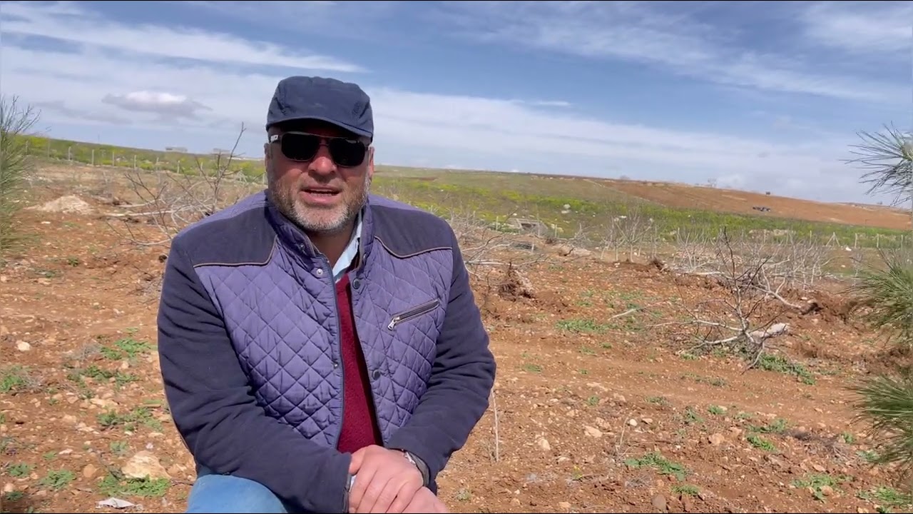 Şanlıurfa’da ceviz bahçesi olmuyor.