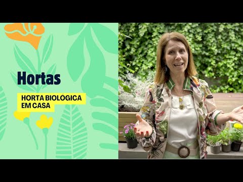Horta biológica em casa