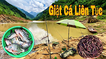 Hoe je wormen als aas gebruikt voor het vissen op natuurlijke riviertilapia – eenvoudig maar effe...