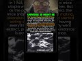 This Is Might Be the Scariest Experiment in History #history #facts