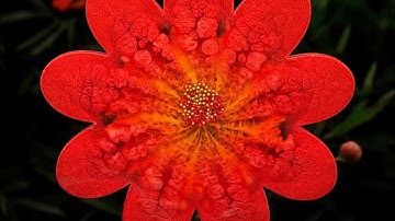 #372 Gorgeous and Easy Web or Lace Effect in a Flower Mold in Epoxy Resin