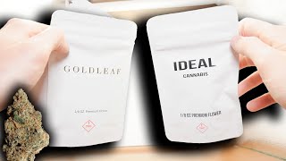 Mt. Hood Magic from Goldflower / Goldleaf | Strain Review by Randy Rhoads FL