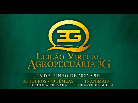 Lote 04   Harpina da 3G FIV   GGG 1566