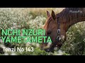 Nchi Nzuri Yametameta | Tenzi Za Rohoni No 143