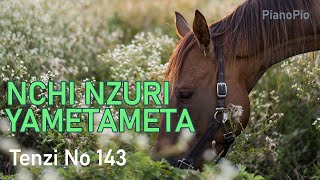 Nchi Nzuri Yametameta | Tenzi Za Rohoni No 143