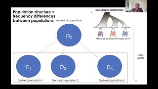 Introduction to population genetics part3: Practical: Changes of allele and genotype frequencies