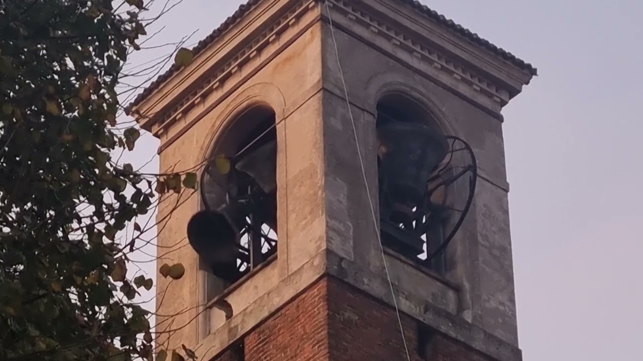 Campane di Pavia, San Michele, concerto solenne