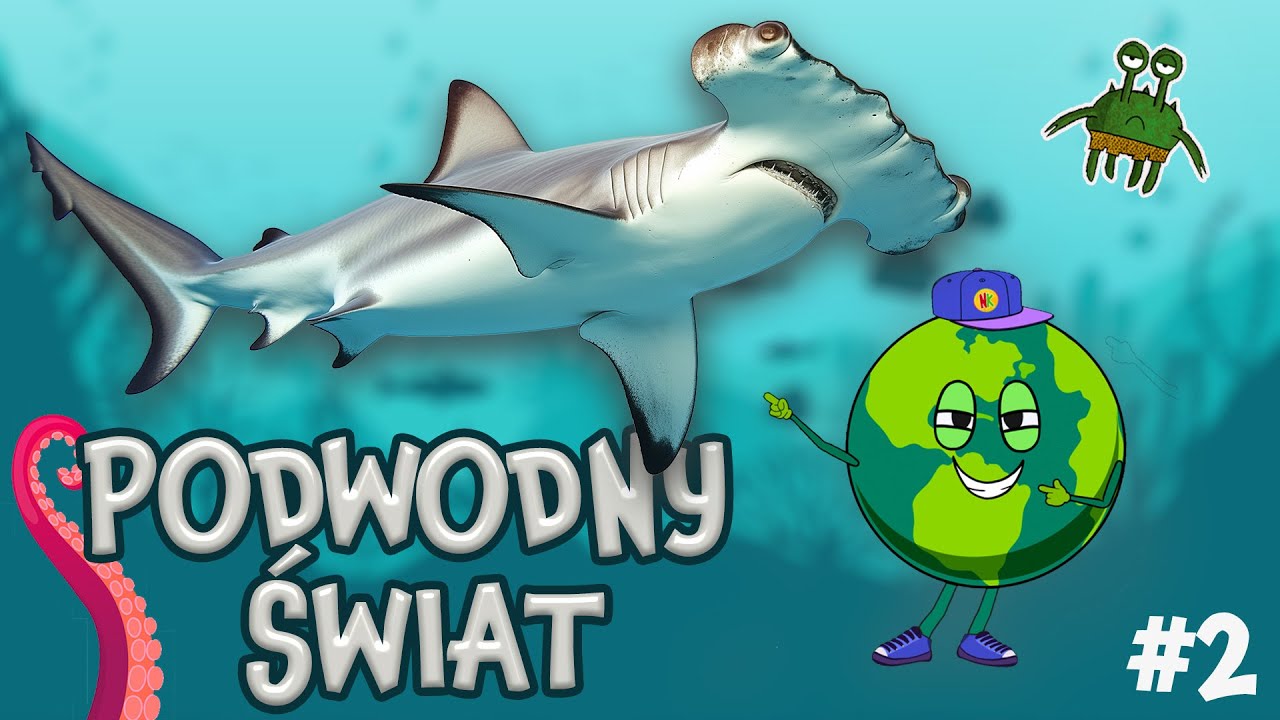 Najciekawsze Zwierzęta Morskie 🐠 - Film Edukacyjny Dla Dzieci | Naukowa Karuzela