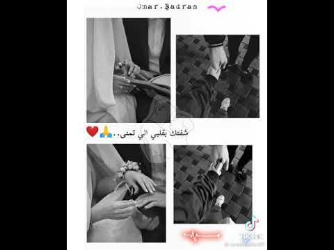 احنا اتقابلنا وائل جسار حالات واتس