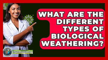 What Are The Different Types Of Biological Weathering? - Earth Science Answers