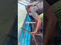 penangkapan ikan tuna #fypシ #fishingvideo #sea #bigfish #seafood #tuna