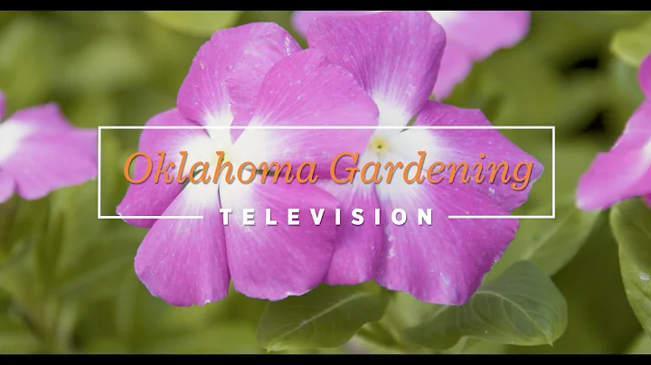Oklahoma Gardening October 8, 2022