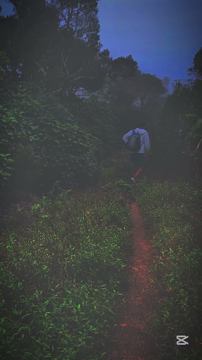 2023 #nature #camping #travel #peace #srilanka #hiking #mountain #withfriends #love
