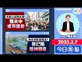 【幫港出聲與HKG報聯合製作‧今日焦點】黃遊行絕跡香港？ 雖未中或不遠矣 華起重機淪間諜？ 美已陷精神錯亂