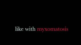 Radiohead - Myxomatosis. (Judge, Jury & Executioner.) Lyrics On Screen Resimi