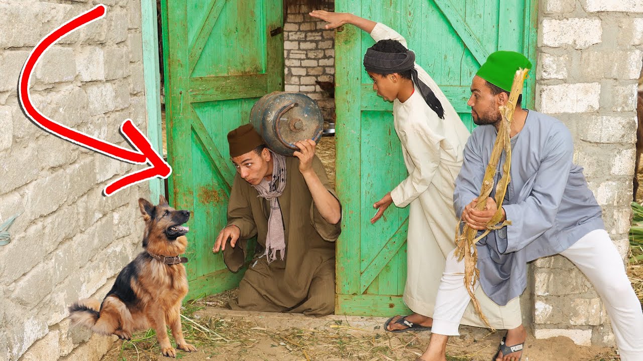 مسكوا حرامى الأنابيب وهو خارج من منزلهم - مش هتصدقوا ماذا فعل به الكلب