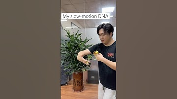 So cool 😎 #magicyoyo #yoyo #yoyoing #viralvideo #shorts #toy #dna #funny #yoyotricks #tricks