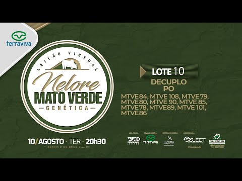 LOTE 10