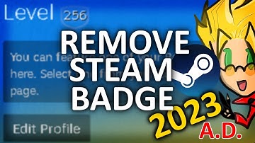 How To Remove Steam Profile Badge 2024 [STILL WORKS]