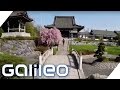 Little Tokyo und Co. - mitten in Deutschland | Galileo | ProSieben