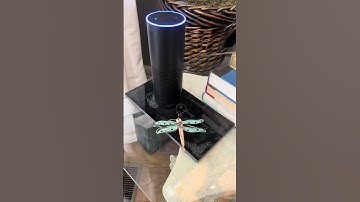 Hey Alexa...can you repeat that notification?