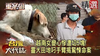 夫妻相約「外遇就把對方分了」越南女變心慘遭切5塊…靈犬田地叼手臂揭驚悚命案  @ebcOhMyGod