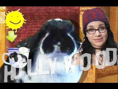 Coffee With Chou: Janeane Garofalo