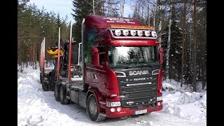 Scania R580 V8 6X4 Timber Truck Loading & Gets Unloaded