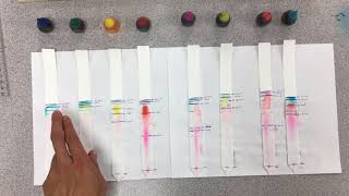 Paper Chromatography Demo