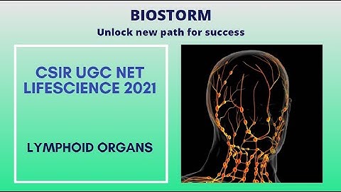 Lymphoid organs | immunity | immune system | Life science | Bio storm Videos