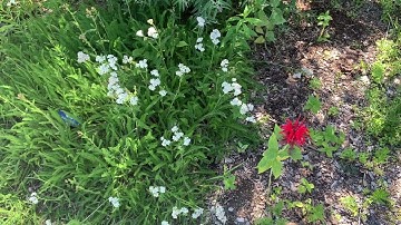 Shortest Video on YouTube (My Version) Parts 1-20