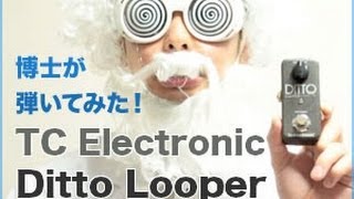 TC Electronic Ditto Looper（ルーパー・エフェクター）をギター博士が弾いてみた！