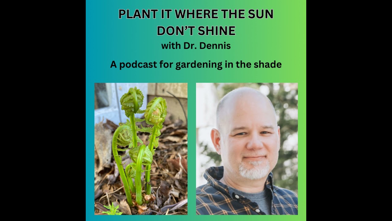 Episode 3 - Blue-eyed Mary